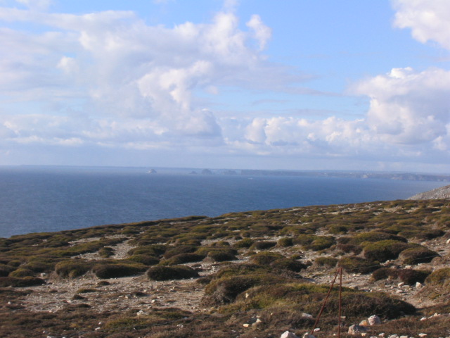 BREST/img_0398.jpg