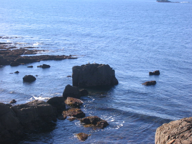 BREST/img_0434.jpg