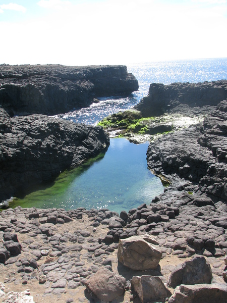 Piscine naturelle