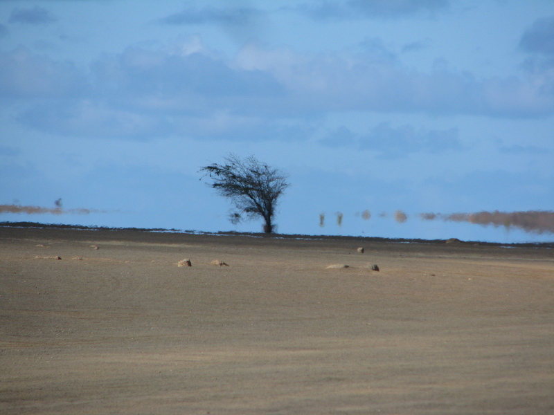 Mirage (le vrai)