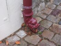 PHOTOS_AURELIE_BRETAGNE/img_1054.jpg