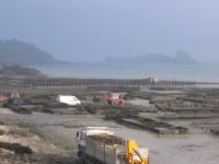 PHOTOS_AURELIE_BRETAGNE/img_1095.jpg