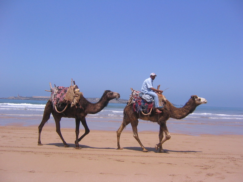 PHOTOS_ESSAOUIRA/img_1275.jpg
