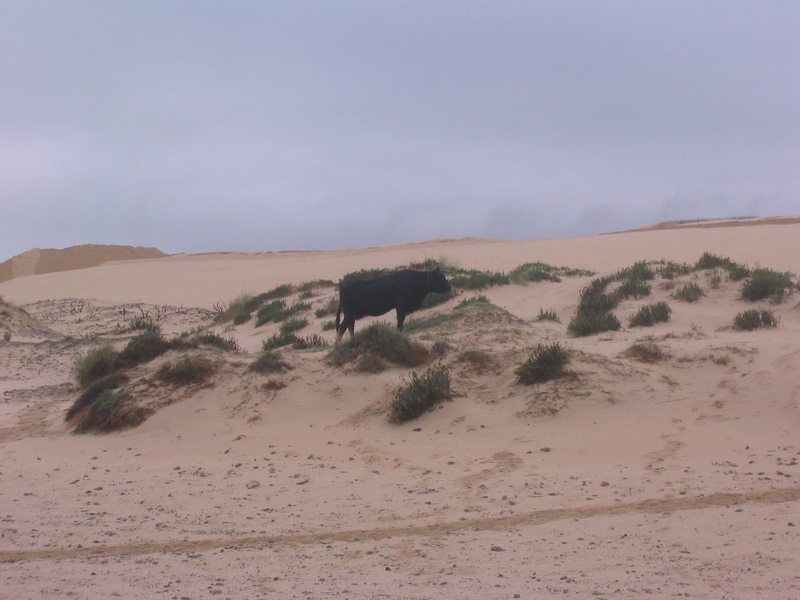 PHOTOS_TARIFA/2695.jpg