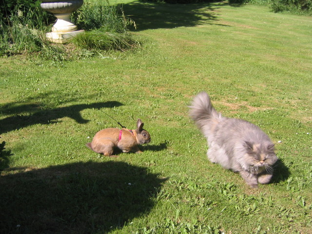 PHOTOS_aure/img_1461.jpg