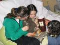 THEAS/img_0034.jpg