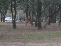 img_2571.jpg