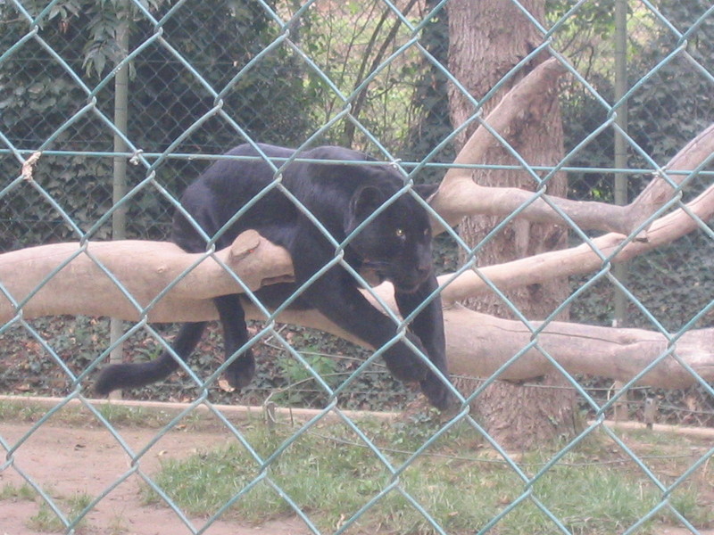 img_2575.jpg