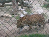 img_2576.jpg