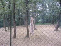 img_2581.jpg