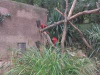 img_2589.jpg