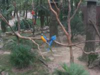 img_2591.jpg
